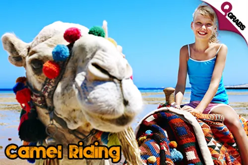 From QR110 Child/QR160 Adult, Explore the Desert with a Half Day Safari Adventure With OR Without Camel Rides! (Up to QR300/QR400 Value)